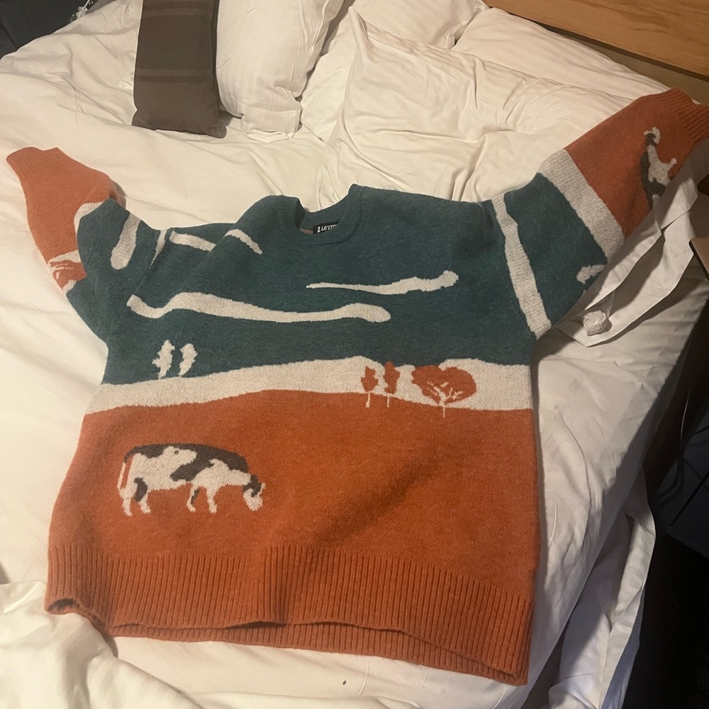 Colorful Graphic Men Sweater